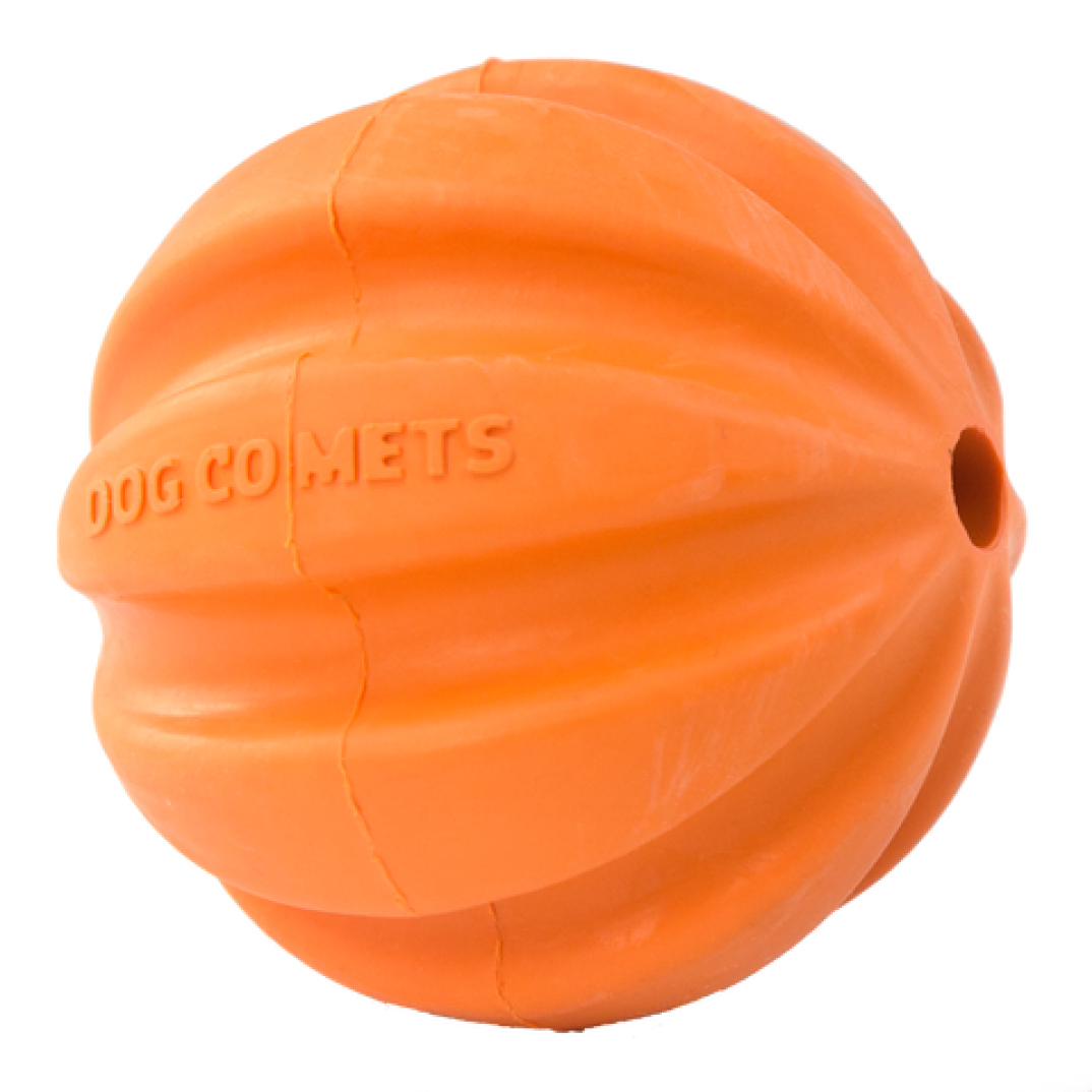 Dog Comets Swift Tuttle Oranje