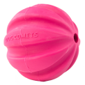 Dog Comets Halley Roze