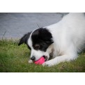 Dog Comets Stardust Groen S