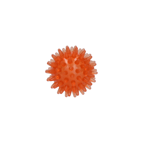 Dog Comets Exoplanet Egelbal S Oranje