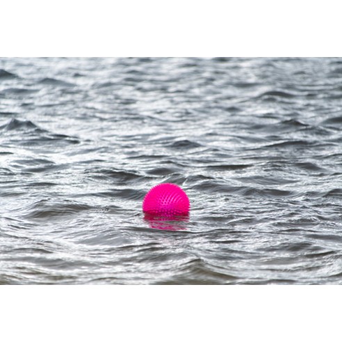 Dog Comets Exoplanet Egelbal M Roze