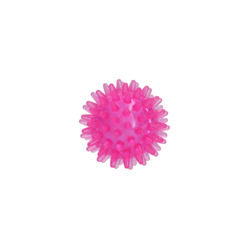 Dog Comets Exoplanet Egelbal S Roze