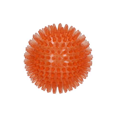 Dog Comets Exoplanet Egelbal M Oranje