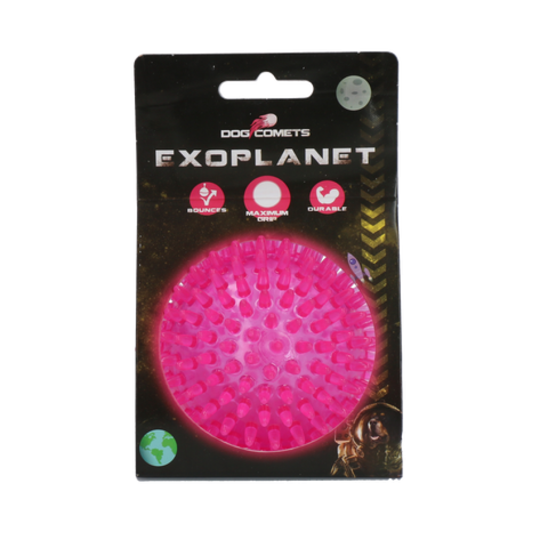 Dog Comets Exoplanet Egelbal M Roze