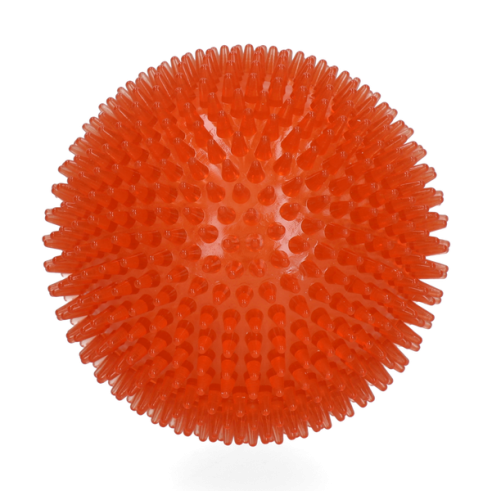 Dog Comets Exoplanet Egelbal L Oranje