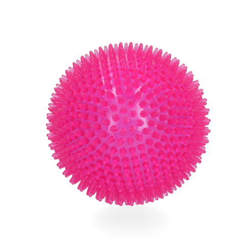 Dog Comets Exoplanet Egelbal L Roze