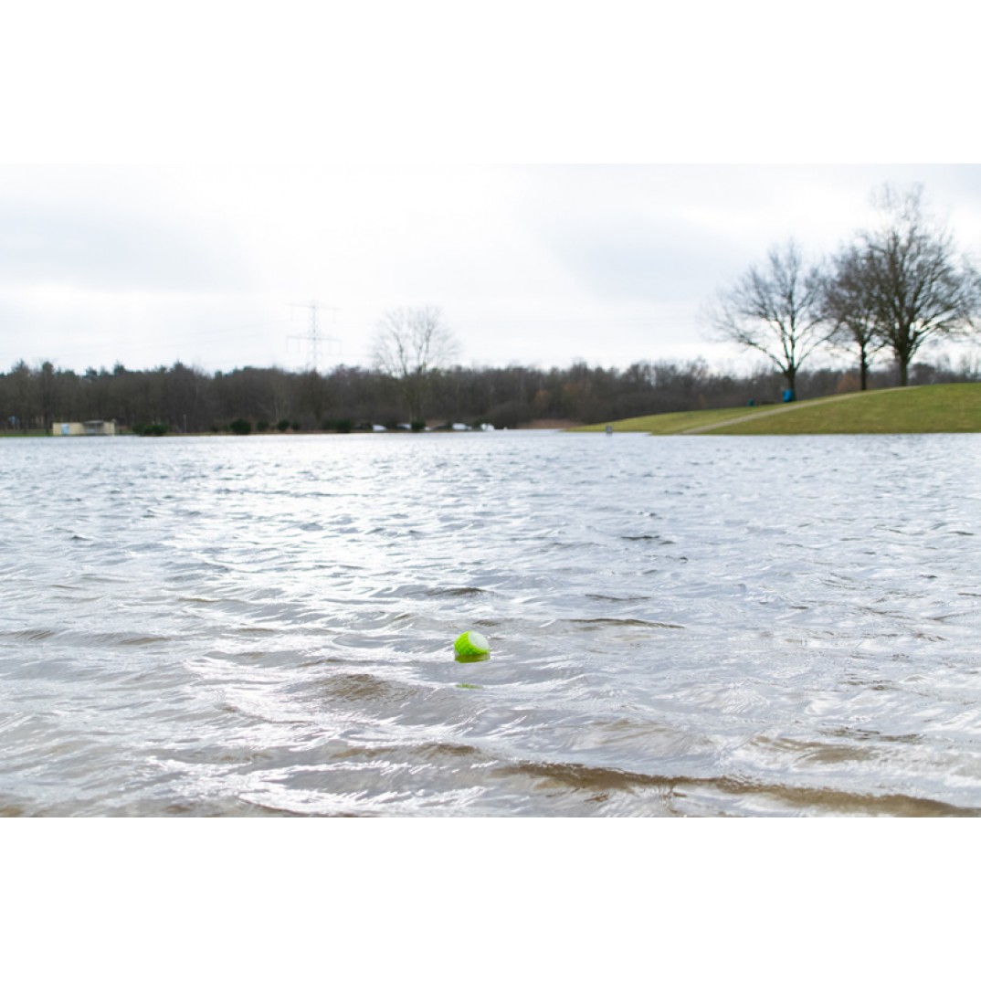 Dog Comets Glow In The Dark Moon Bal L Roze