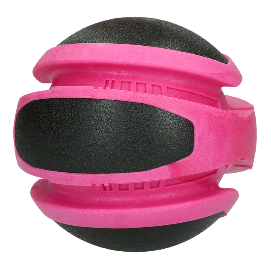 Dog Comets Planets Roze