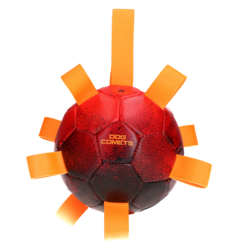 Dog Comets Hypernova Oranje