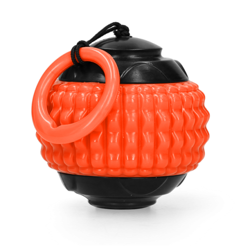 Dog Comets Blazar Jet Oranje