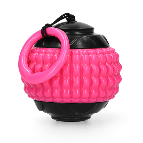 Dog Comets Blazar Jet Roze