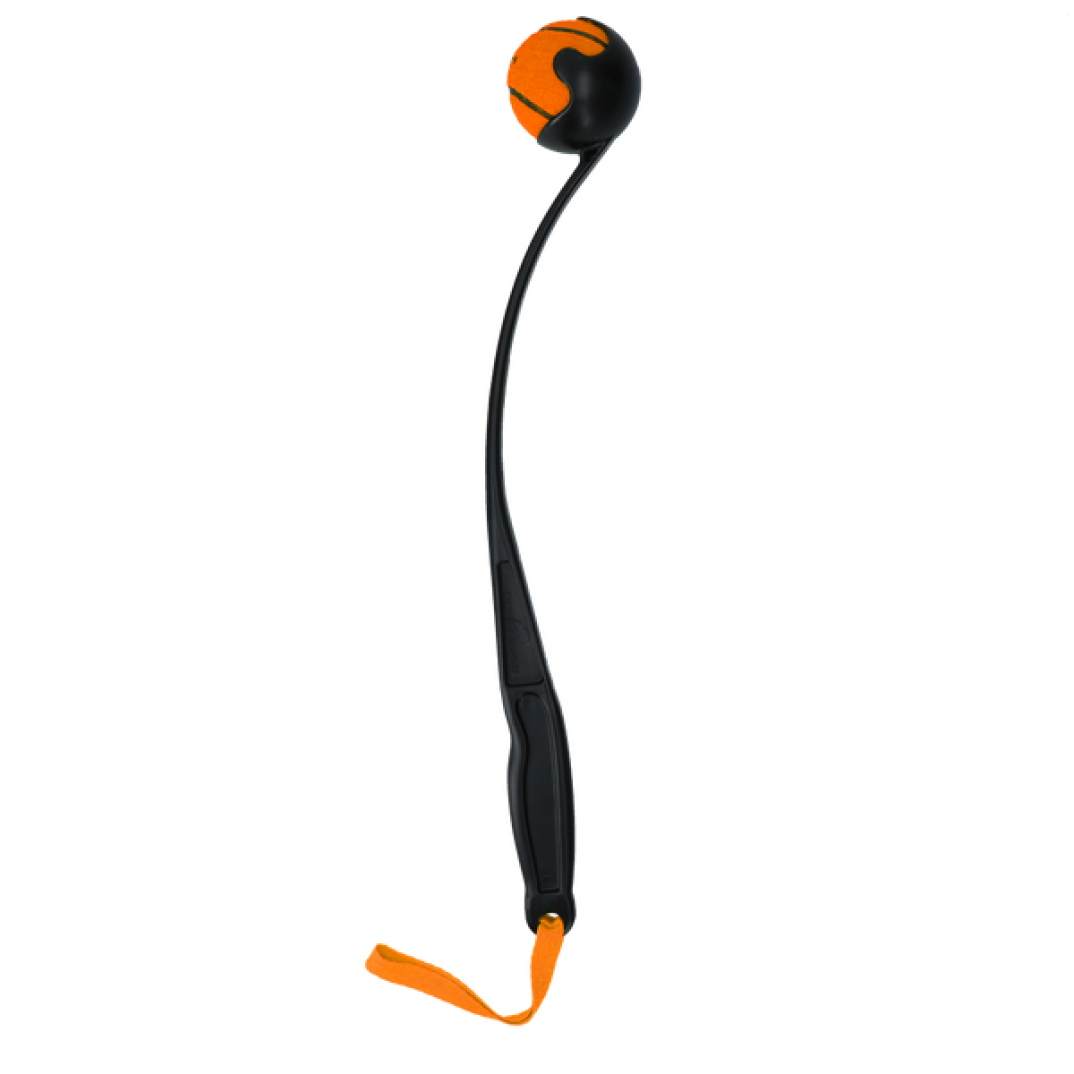 Dog Comets Launcher Oranje M