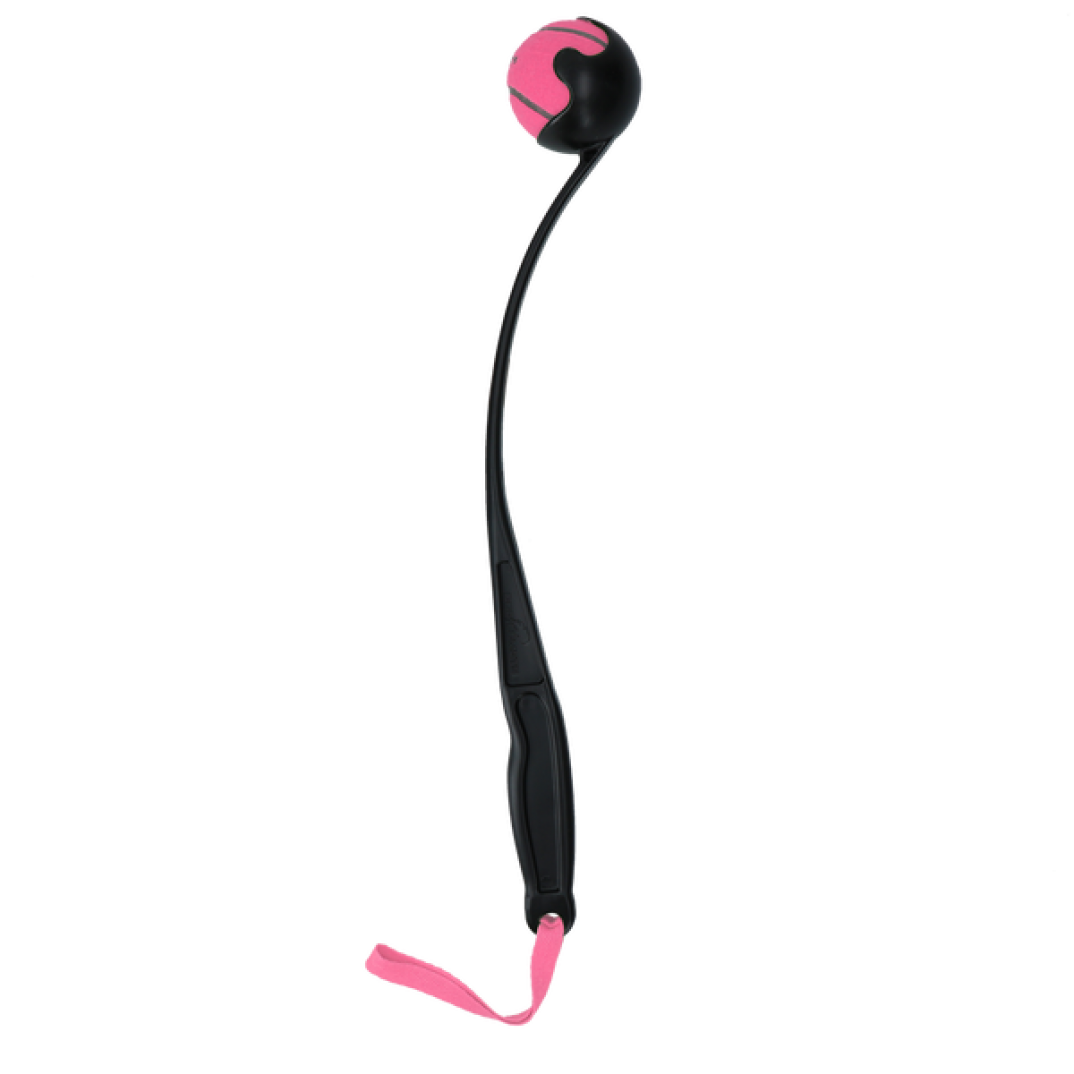 Dog Comets Launcher Roze M