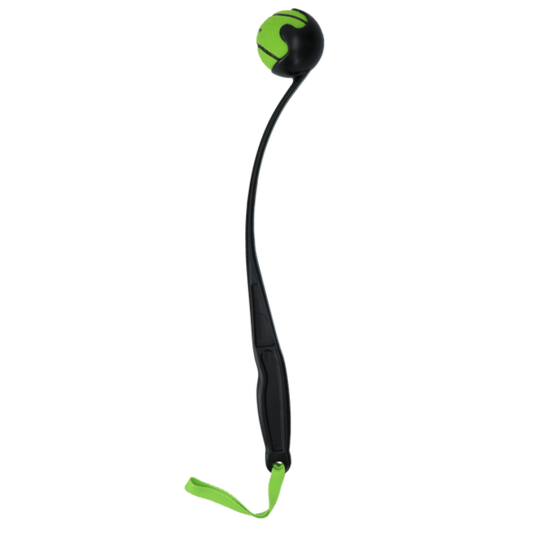 Dog Comets Launcher Groen M