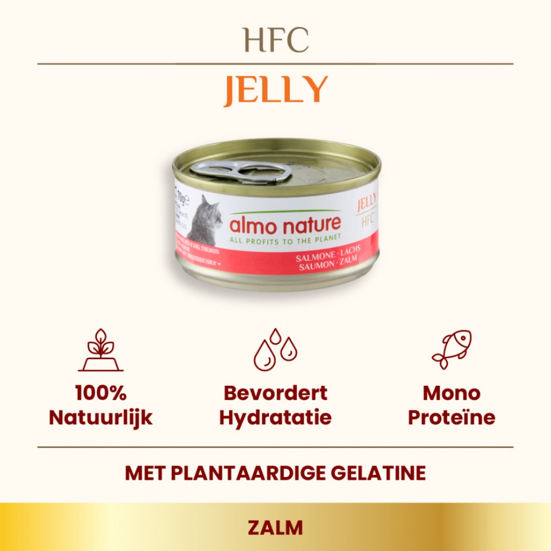 Almo Nature HFC jelly zalm Almo Nature HFC jelly zalm
