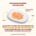 Almo Nature HFC jelly zalm Almo Nature HFC jelly zalm