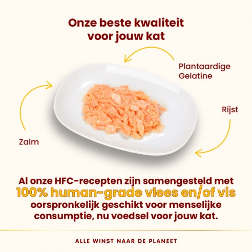 Almo Nature HFC jelly zalm Almo Nature HFC jelly zalm