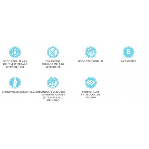 Brit Graanvrij Dierenartsvoeding Obesitas 12kg