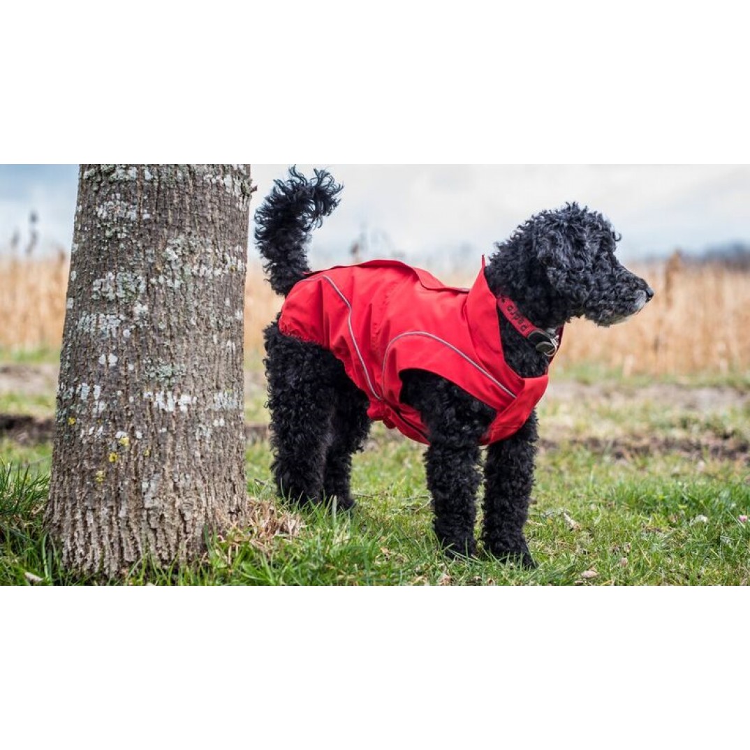 DogBite Winterjas rood 25cm