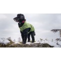DogBite Winterjas groen DogBite Winterjas groen