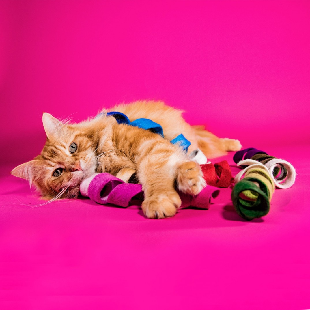 Mimis Daughters Spinny Spiral blauw