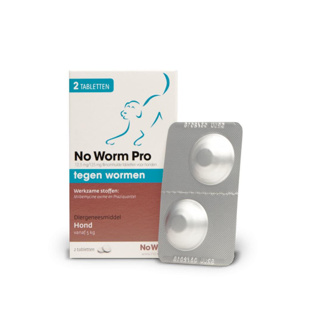 No Worm Pro Hond vanaf 5KG 2 tabletten