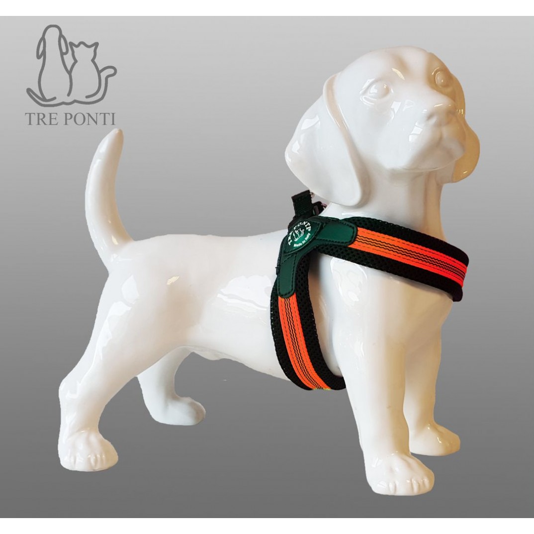 Tre Ponti Fibbia mesh fluo pop