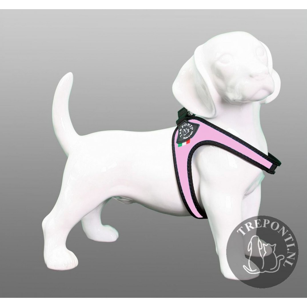 Tre Ponti Fibbia standaard