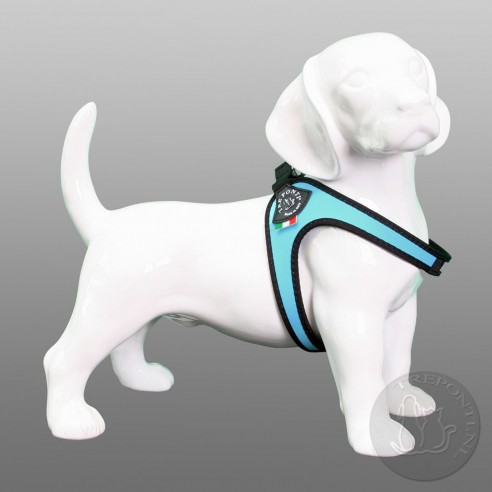 Tre Ponti Fibbia - standaard blauw