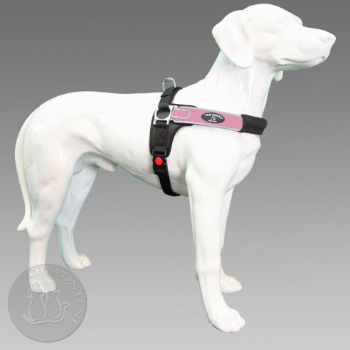 Tre Ponti Forza - roze reflective 