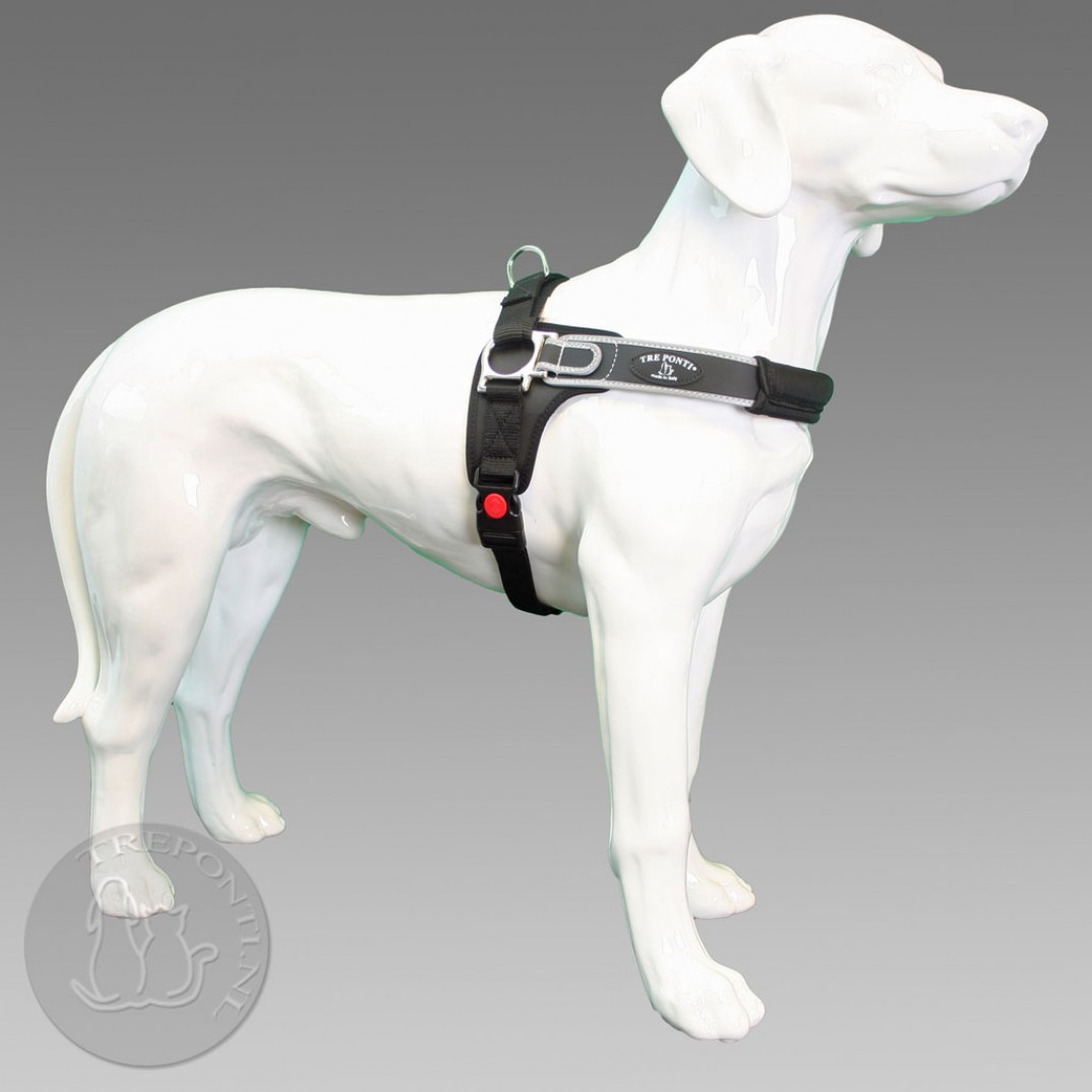 TrePonti Forza reflective