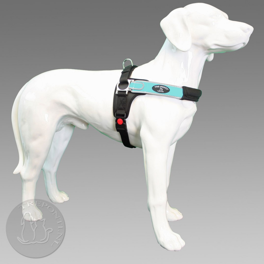 TrePonti Forza reflective