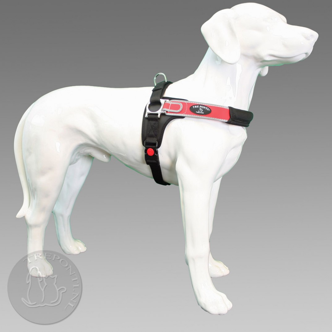 TrePonti Forza reflective