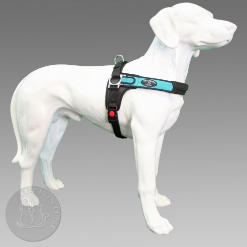 Tre Ponti Forza - blauw standaard