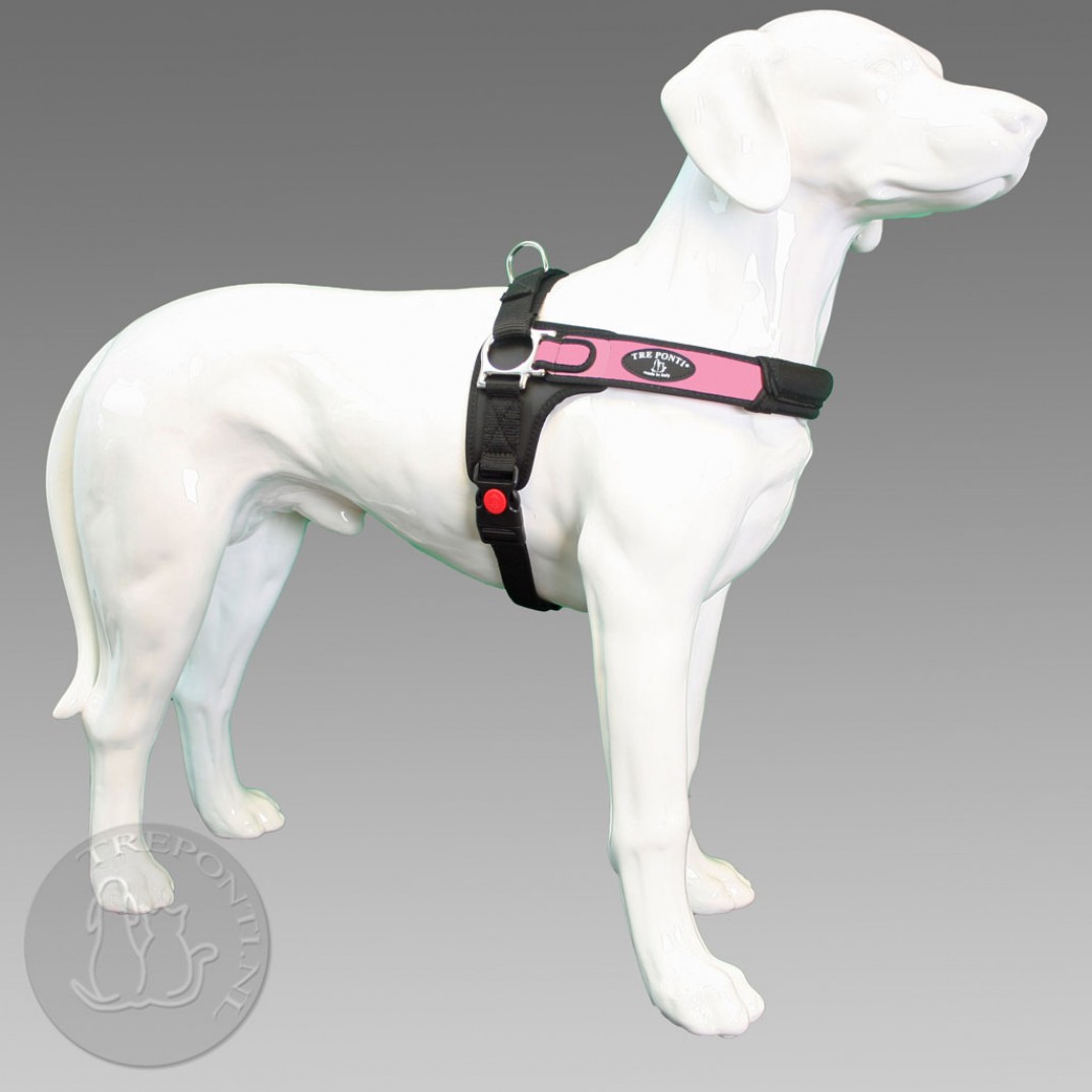 Tre Ponti Forza zwart standaard verstelbare buikband trekt samen bij rug Tre Ponti Forza zwart standaard anti trek