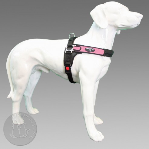 Tre Ponti Forza - roze standaard