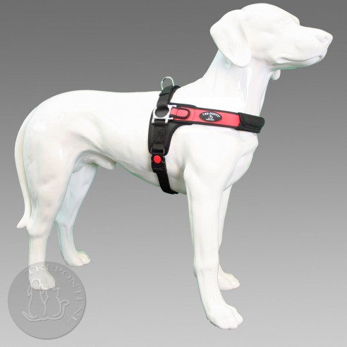 Tre Ponti Forza - rood standaard