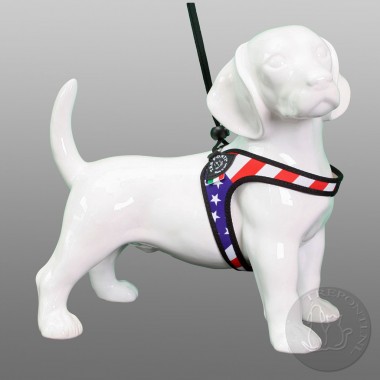 Tre Ponti Liberta Patriota USA Laatste Exemplaar mt 3