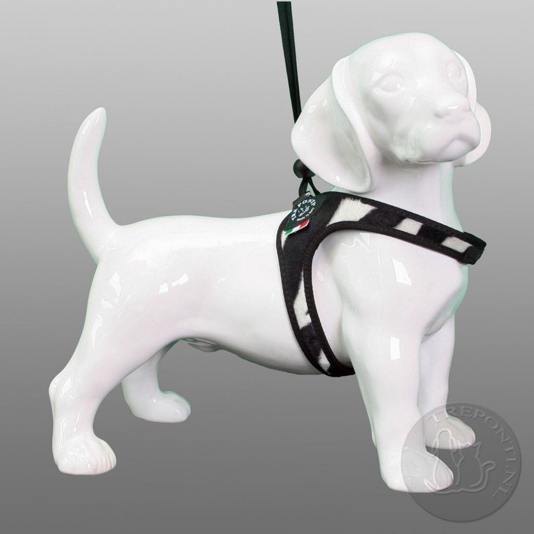 Tre Ponti Liberta fashion - animal zebra