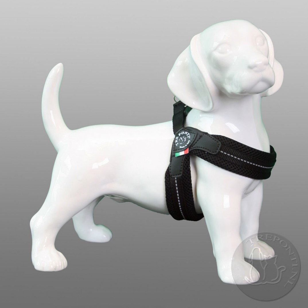 Tre Ponti Fibbia mesh basic zwart