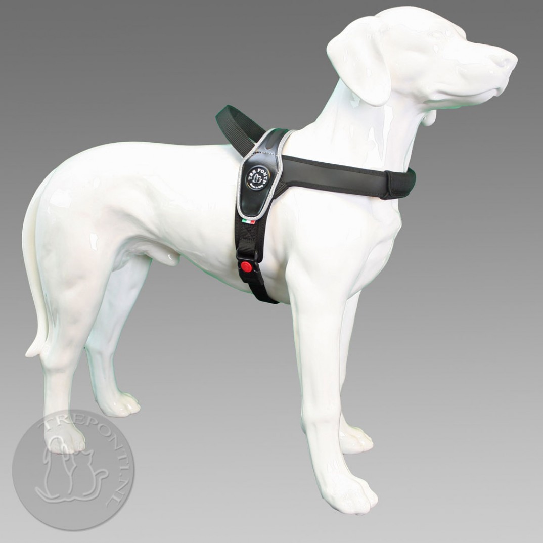 Tre Ponti Primo - reflective