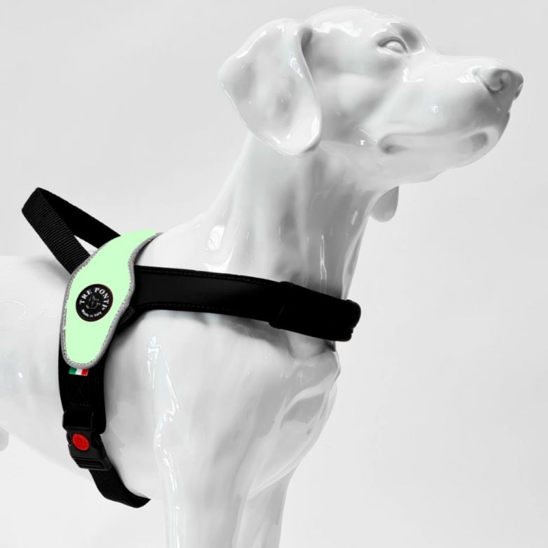 Tre Ponti Primo - reflective