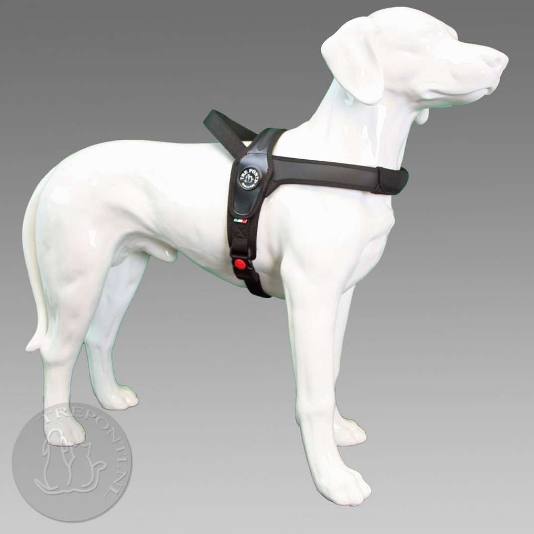 Tre Ponti Primo - standaard