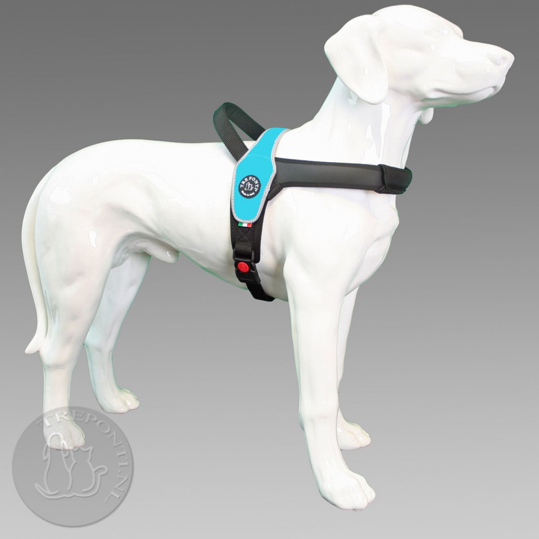 Tre Ponti Primo - reflective