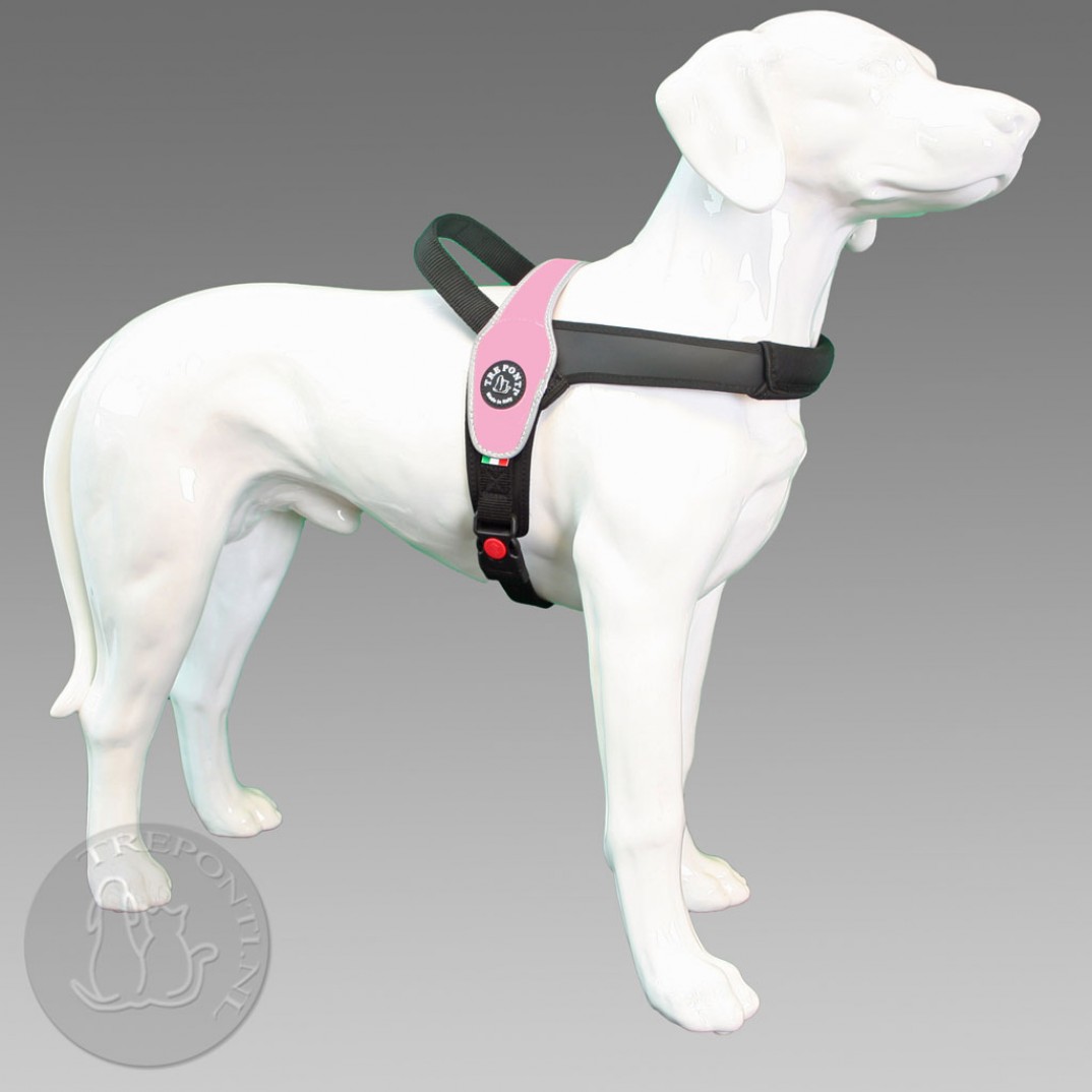 Tre Ponti Primo - reflective