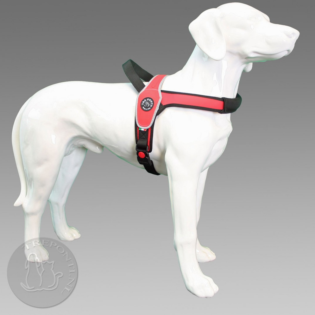 Tre Ponti Primo - reflective