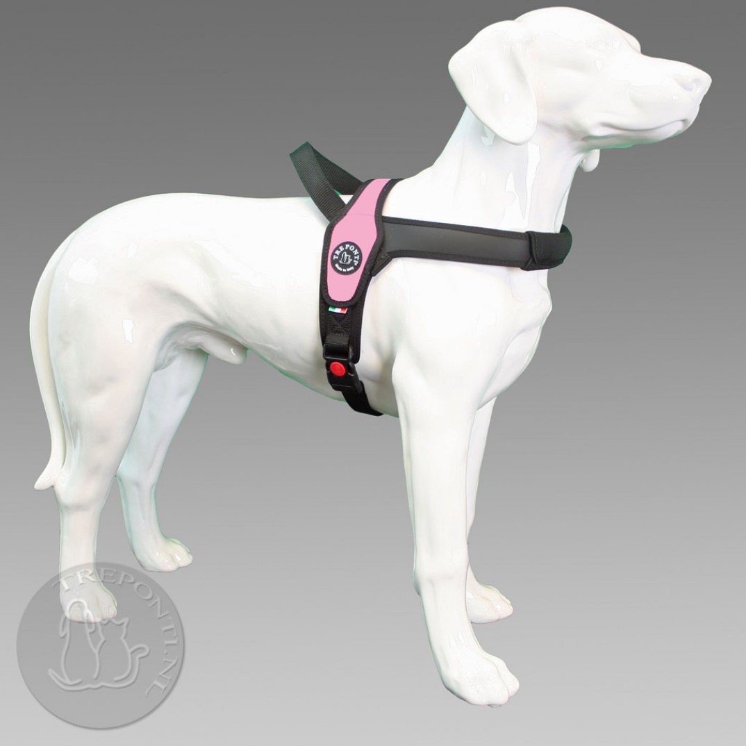 Tre Ponti Primo - standaard