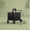 Wonderfold Max Buggy